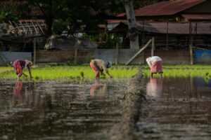 Earthy Sustainability