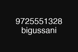 9725551328 bigussani