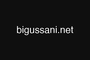 bigussani.net